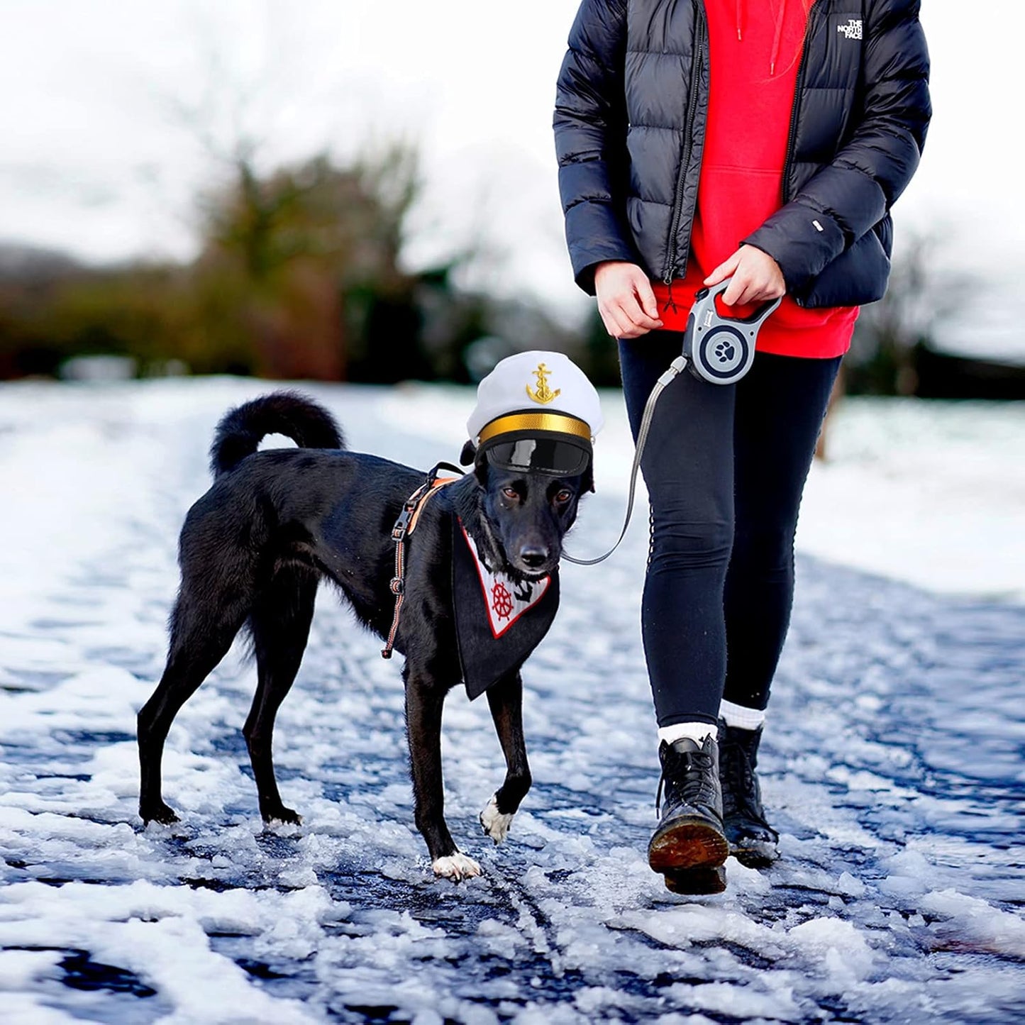 Adorable Pet Sailor Costume Set: Captain Hat & Anchor Bandana for Your Furry Friends! Perfect for Halloween & Cosplay! 🐾⚓️