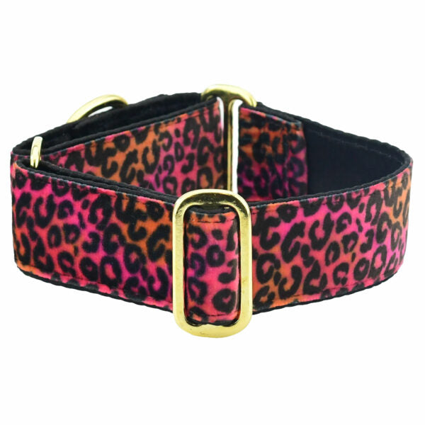 Premium Pet Guardian Gear: Wild Kitty Pink Elite Velvet Martingale Dog Collar - Sanctum Paws and Fangs