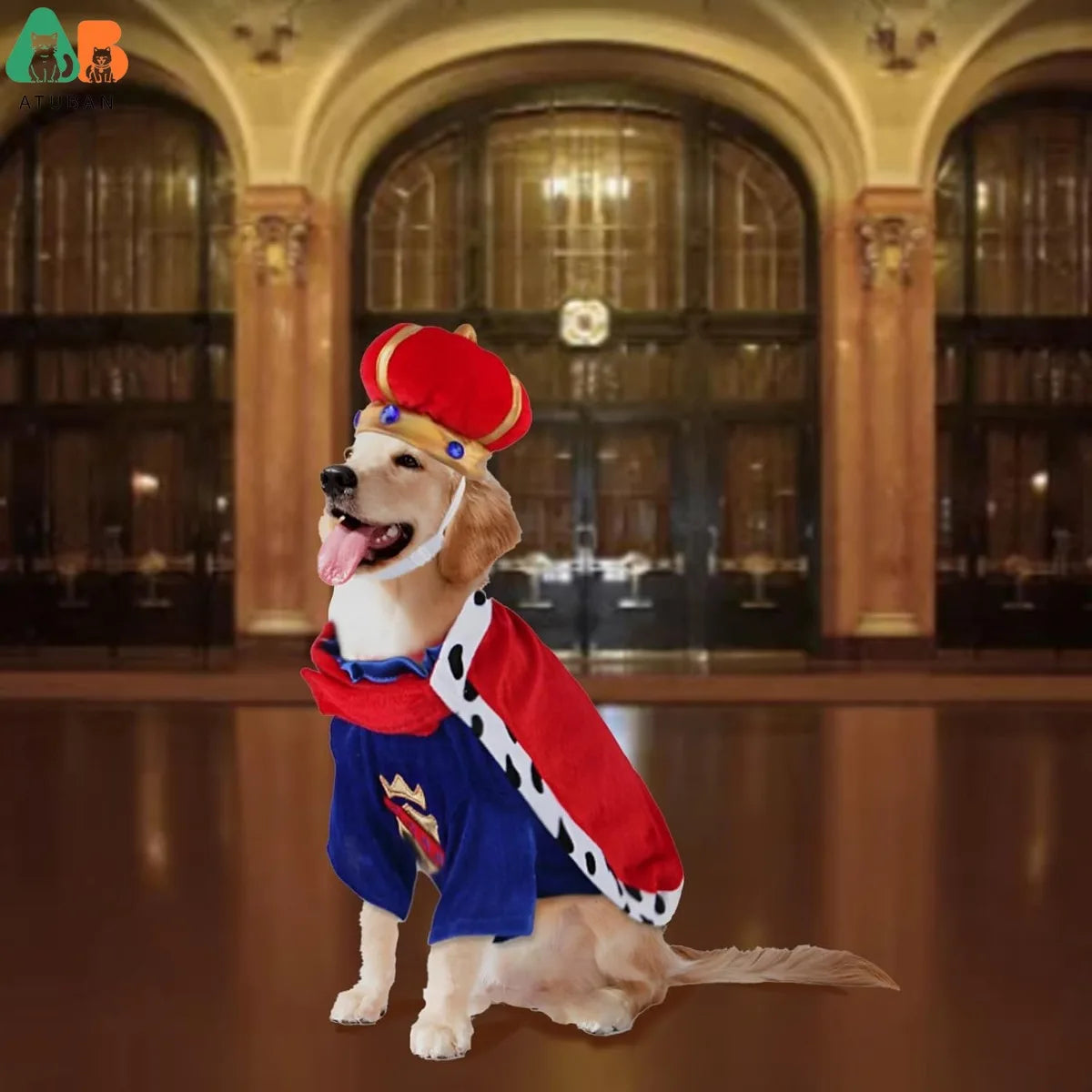 Transform your pup into royalty with our King Dog Costume! 👑🐾 Perfect for parties, cosplay, and holiday fun! #DogCostume #PetFashion