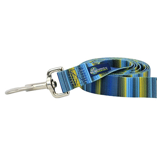 Clyde Dog Leash EarthStyle