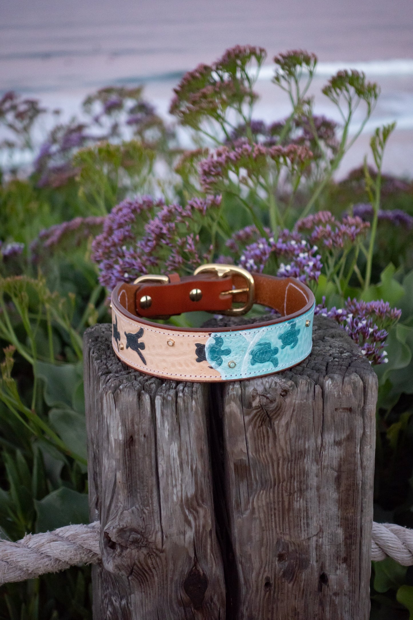 Baby Sea Turtles - Leather Dog Collar