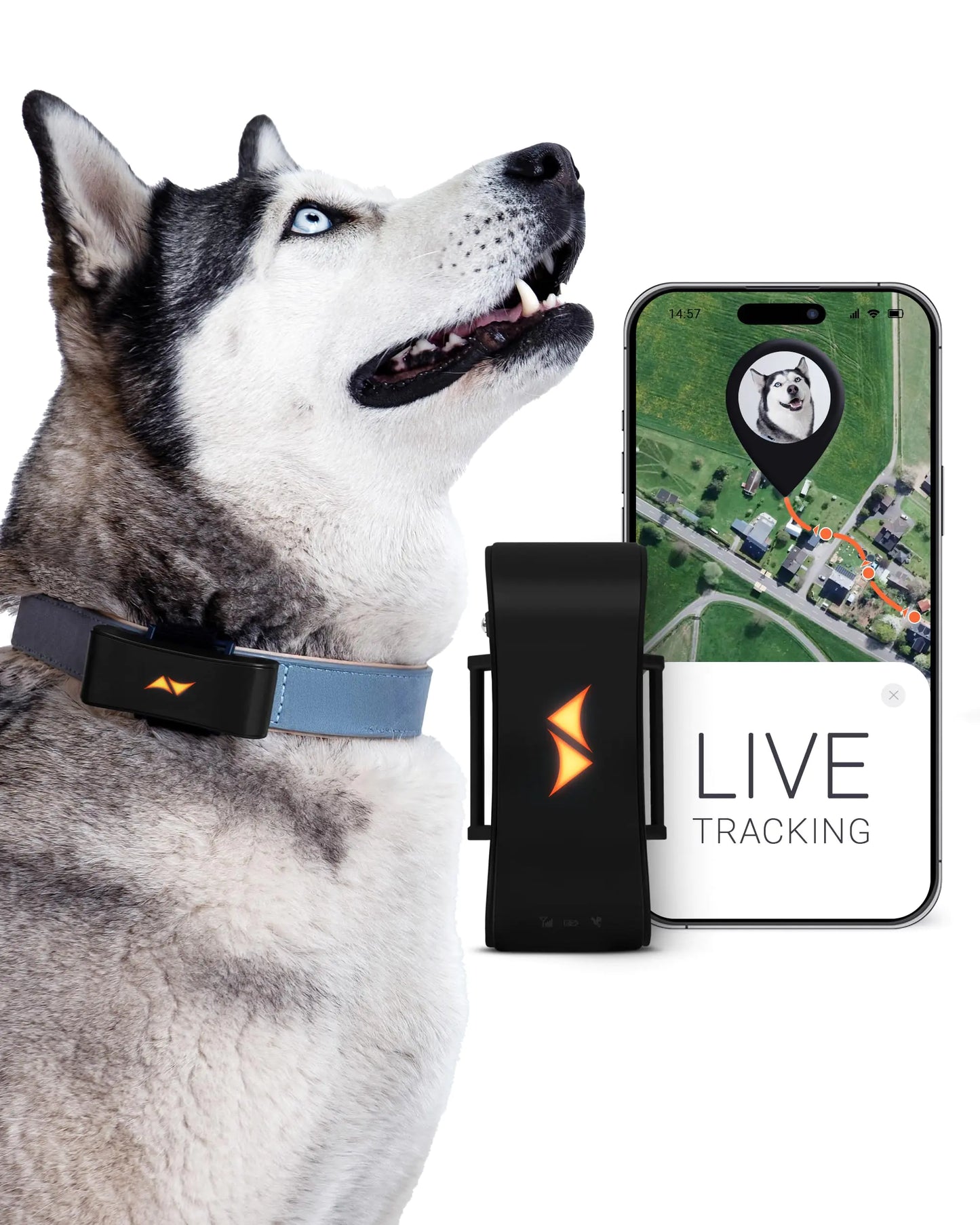 PAJ GPS Tracker for Dogs - Runaway Alarms + Worldwide Live Tracking - Battery Saving Mode Near Routers - Dog Recall - LED Lights - Waterproof (IP67) - fits Any Collar