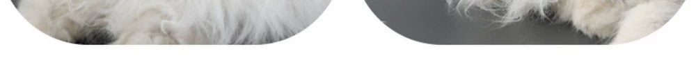 Cat Comb Floating Hair Comb Hair Brush Dog Hair Removal Cat Petting Handy Gadget Cleaning Long Hair Special Pet Cat Supplies