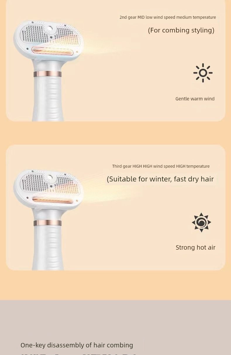 Best Selling Electric Pet Spray Comb Cat Napping One Blow Hair Comb Dog Beauty Blowing Combs Pet Supplies