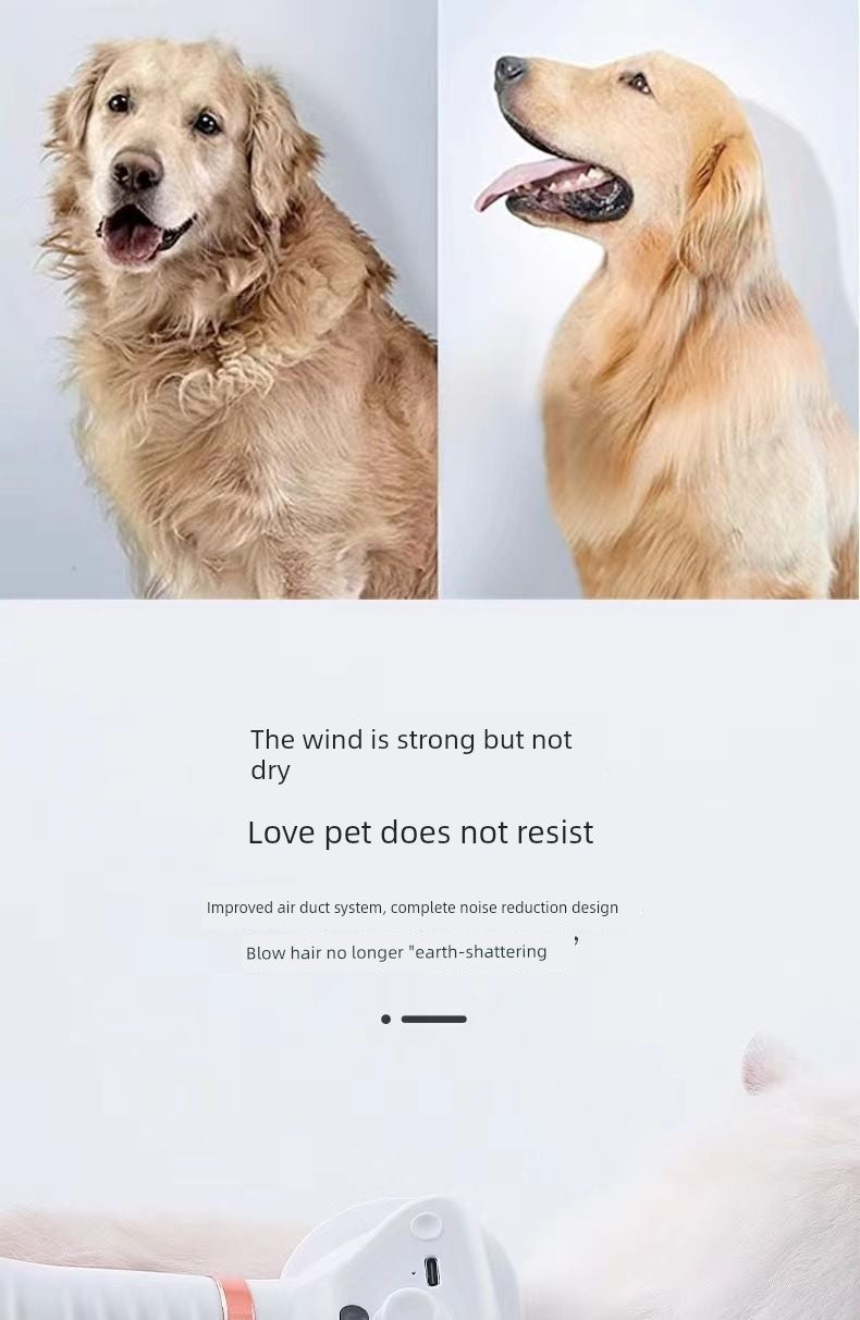 Best Selling Electric Pet Spray Comb Cat Napping One Blow Hair Comb Dog Beauty Blowing Combs Pet Supplies
