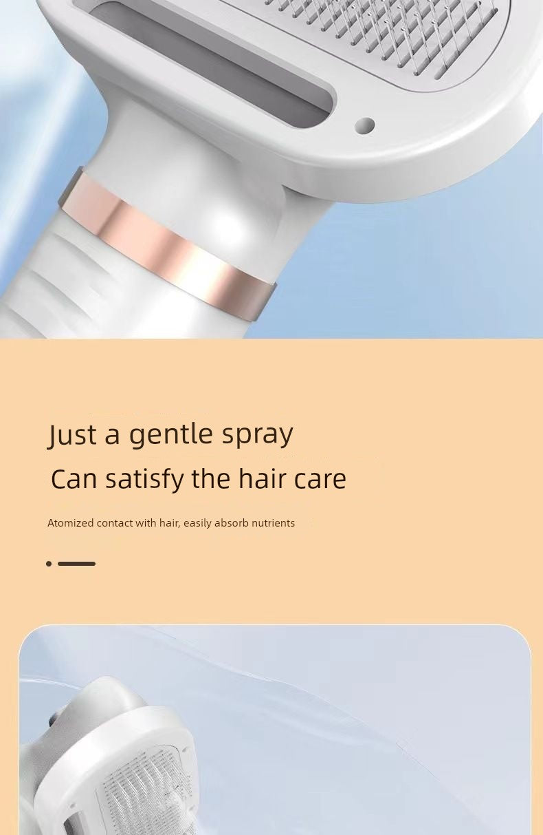 Best Selling Electric Pet Spray Comb Cat Napping One Blow Hair Comb Dog Beauty Blowing Combs Pet Supplies