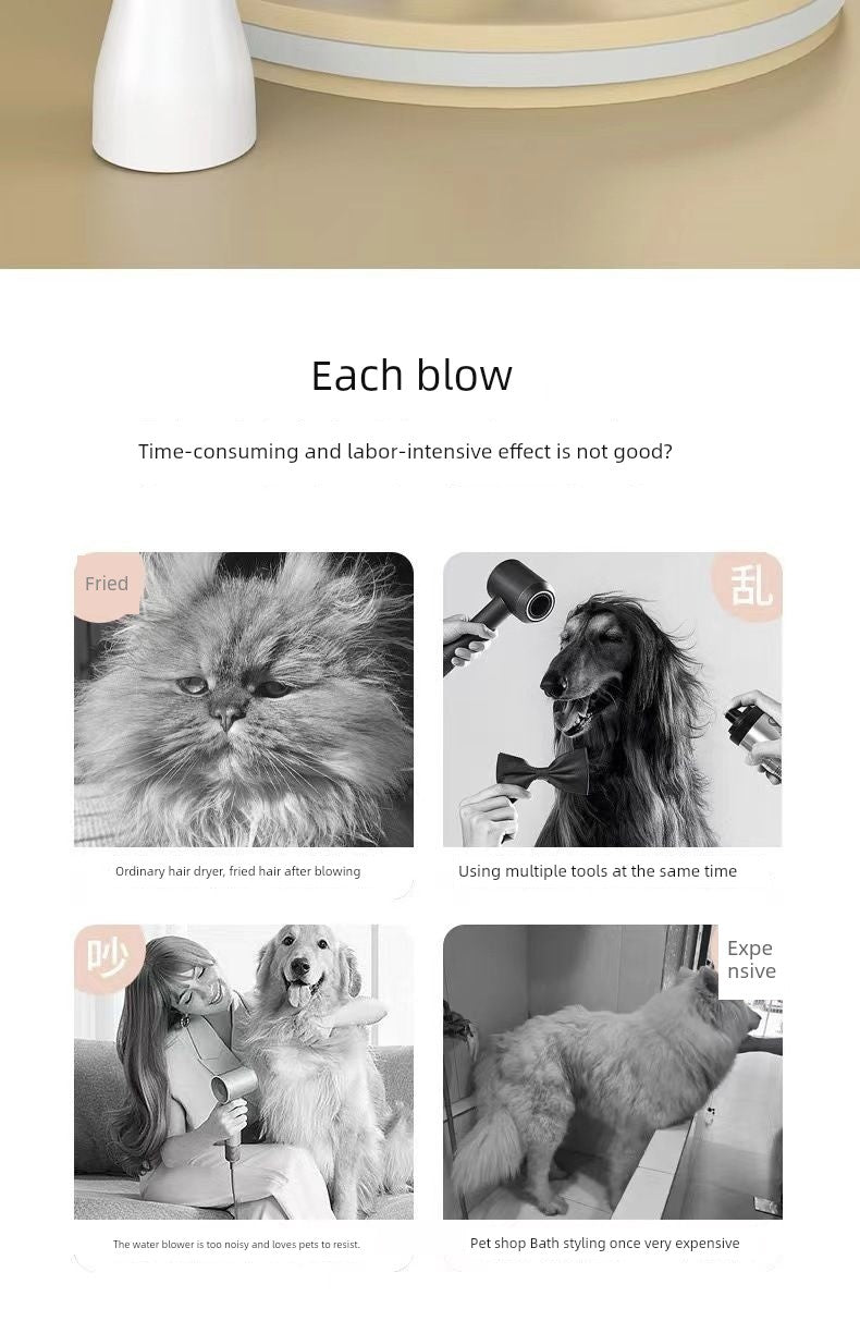 Best Selling Electric Pet Spray Comb Cat Napping One Blow Hair Comb Dog Beauty Blowing Combs Pet Supplies