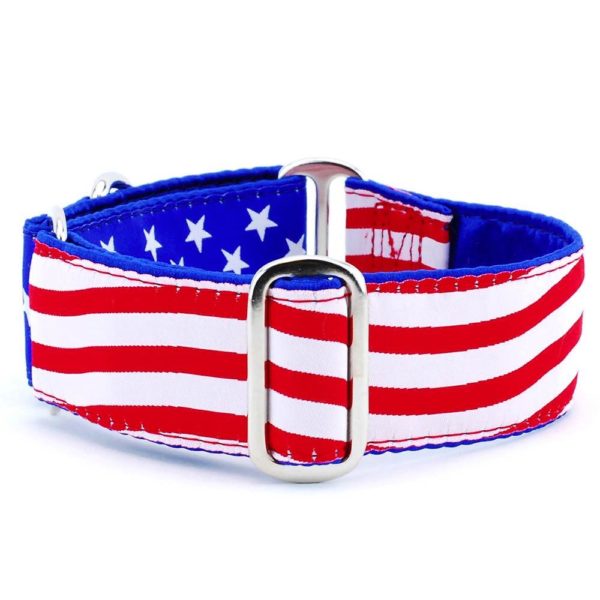 Stars and Stripes Exclusive Buckle Martingale Dog Collar
