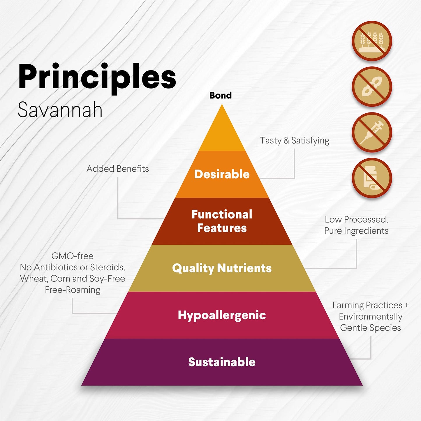Ostrich Hip Bone (12" x 5"x 3): The Durable, Flavor-Packed Chew for Medium & Large Dogs