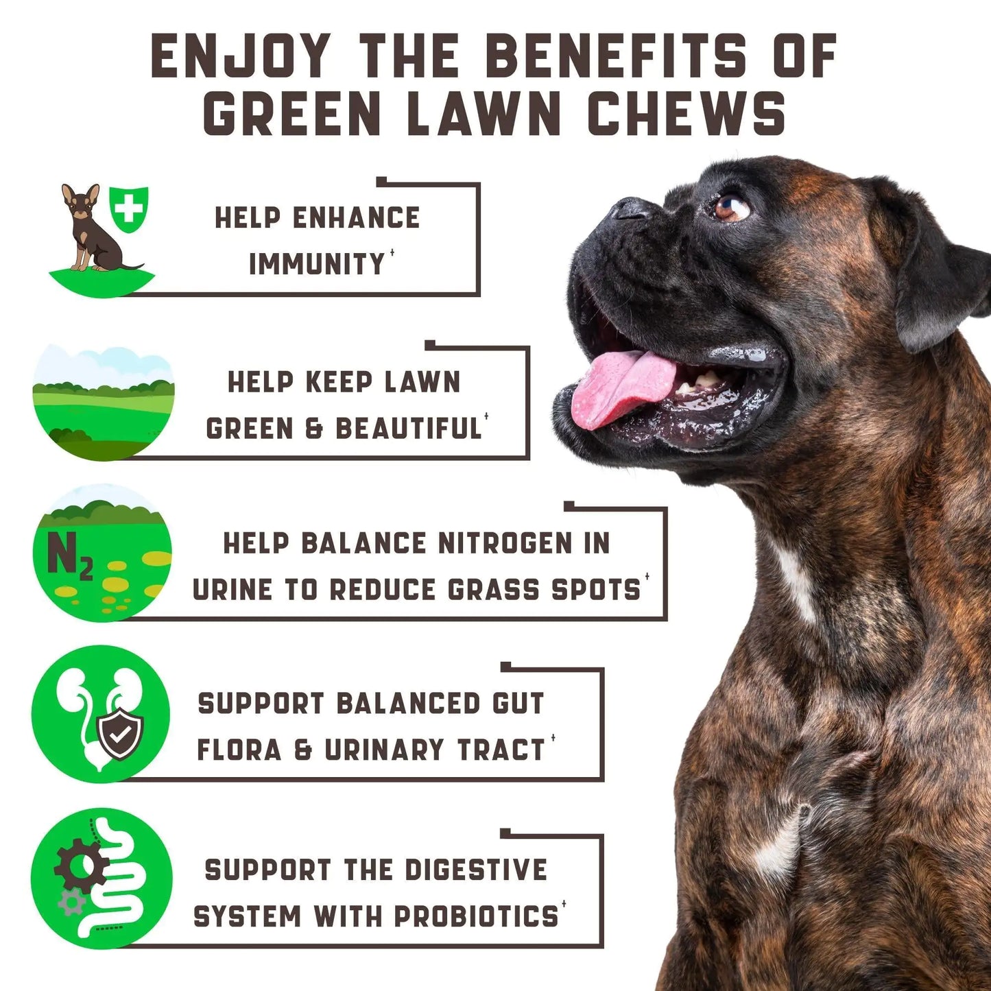 Green Lawn Support Chews for Dogs