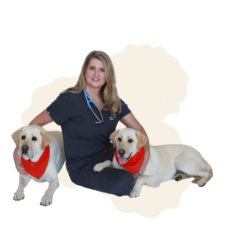 Pet Vet First Aid Guide: Handbook for Pet Emergencies – Easy-to-Read Charts, CPR, Toxicity Calculators & Step-by-Step Instructions