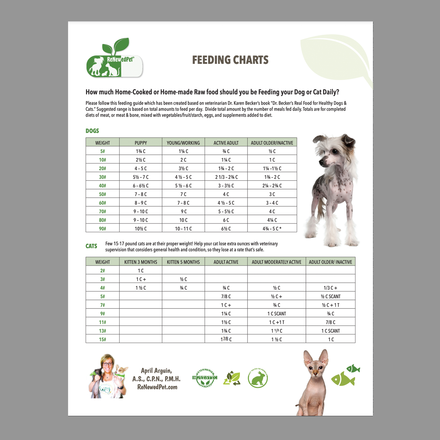 Homemade Pet Food Feeding Chart