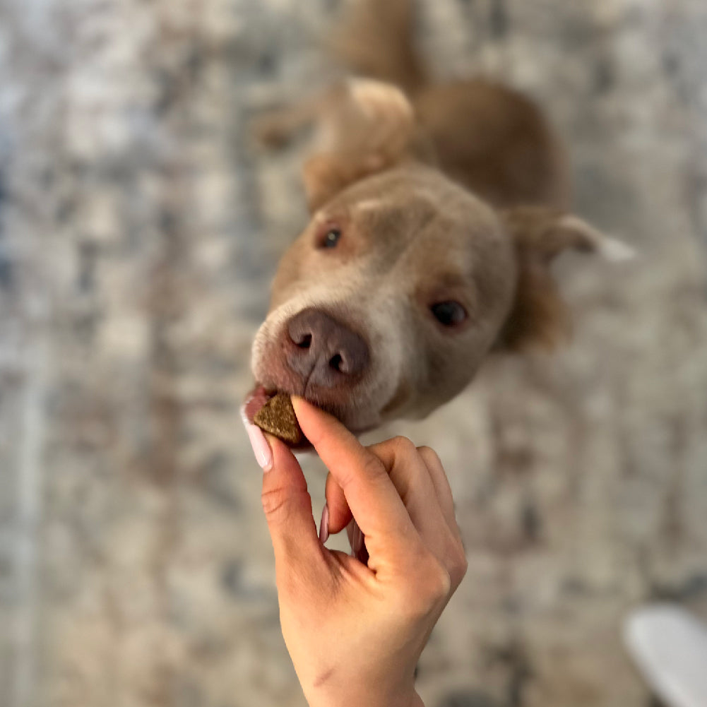 Hip & Joint Chews (90 Chews)