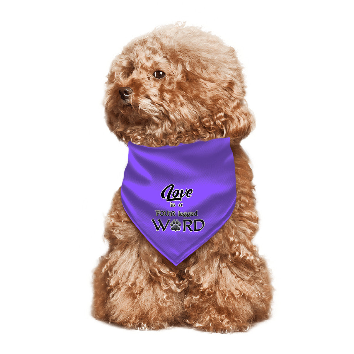 SPF Pet Decorative Triangle Scarf - Purple Love is a Four-Legged Word