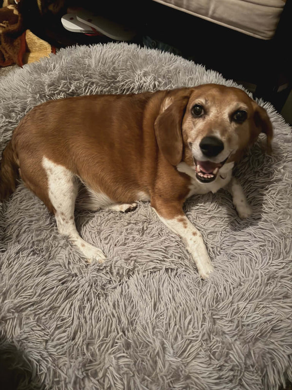 07/31 Mutt Day: Sometimes The File Is Wrong