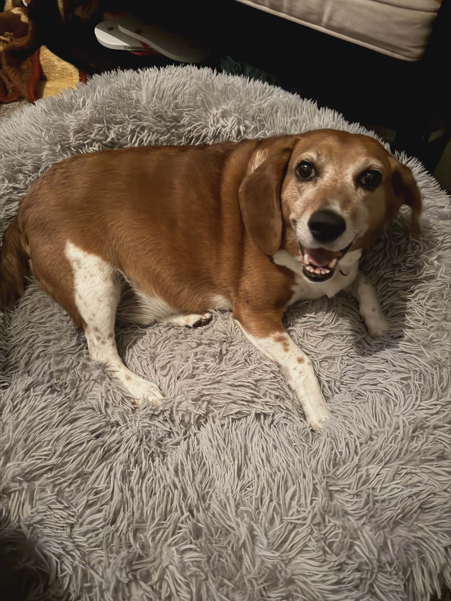 07/31 Mutt Day: Sometimes The File Is Wrong