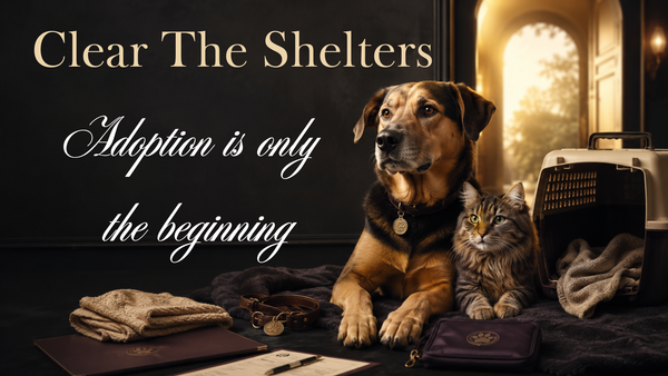 08/01 Clear the Shelters Month: Adoption Is Only the Beginning