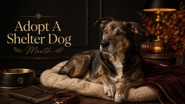10/01 Adopt A Shelter Dog Month