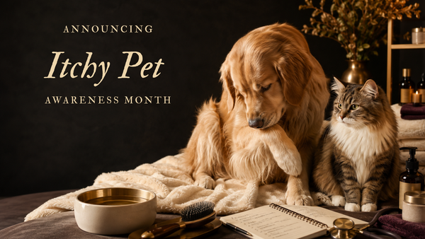 08/01 Itchy Pet Awareness Month: Scratching Is Not A Personality Trait