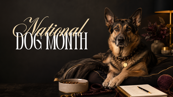 National Dog Month infographic showing purposeful ways to celebrate dogs through nutrition, enrichment, safety, rescue support, and advocacy.