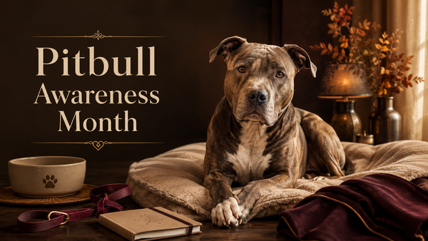 10/24 National Pitbull Awareness Day: Picked Last, Loved Just as Much
