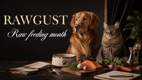 08/01 Rawgust: Read This Before You Put Raw Food in Your Pet’s Bowl