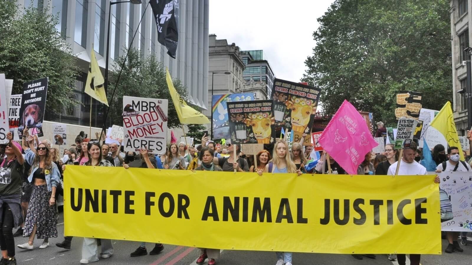 National Justice for Animals Week