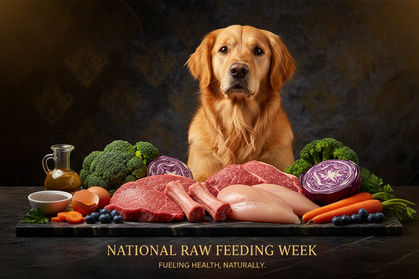 04/01-04/07 National Raw Feeding Week: Read This Before You Change Your Pet’s Diet
