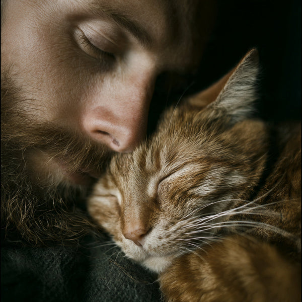 03/02 – International Rescue Cat Day