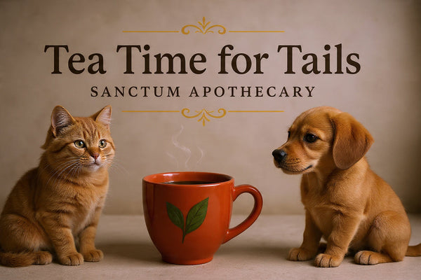 Tea Time for Tails: Natural Teas That Support Your Pet’s Health