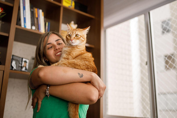03/01 International Rescue Cat Awareness Month (MARCH)