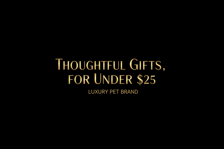 Thoughtful Picks Under $25