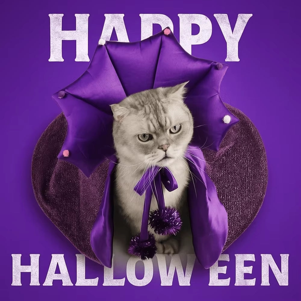 Adorable Purple Witch Cloak & Hat for Your Furry Friend's Halloween Fun! 🐾🎃✨ #PetCostume #HalloweenPawty