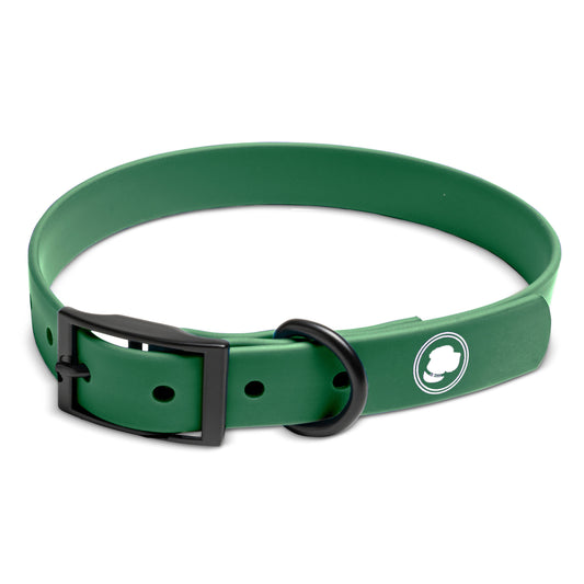 Premium Pet Guardian Gear: The Modern Dog Company - Clover Green Collar (Weather + Odor Resistant) - Sanctum Paws and Fangs