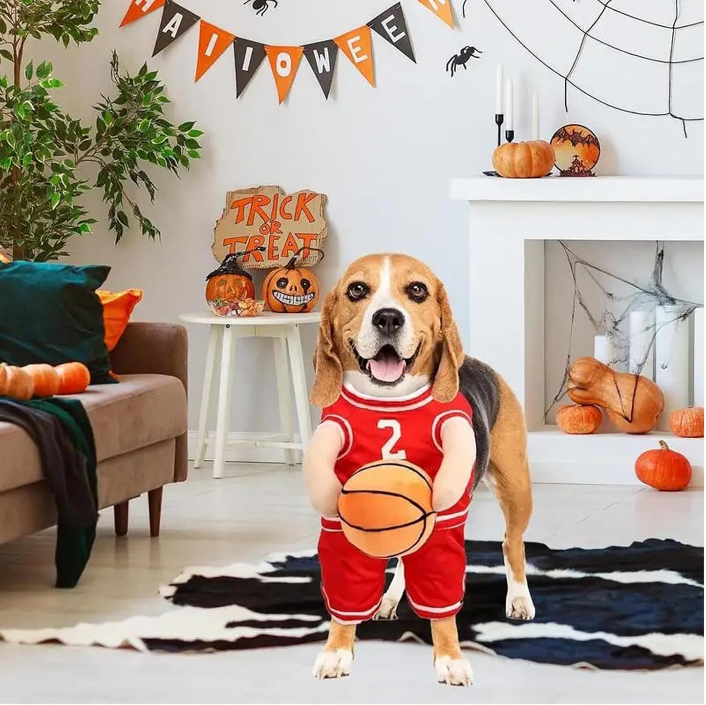 Get Your Pup in the Game with This Adorable Dog Basketball Player Costume! Perfect for Halloween and Playful Dress-Up! 🏀🐶✨