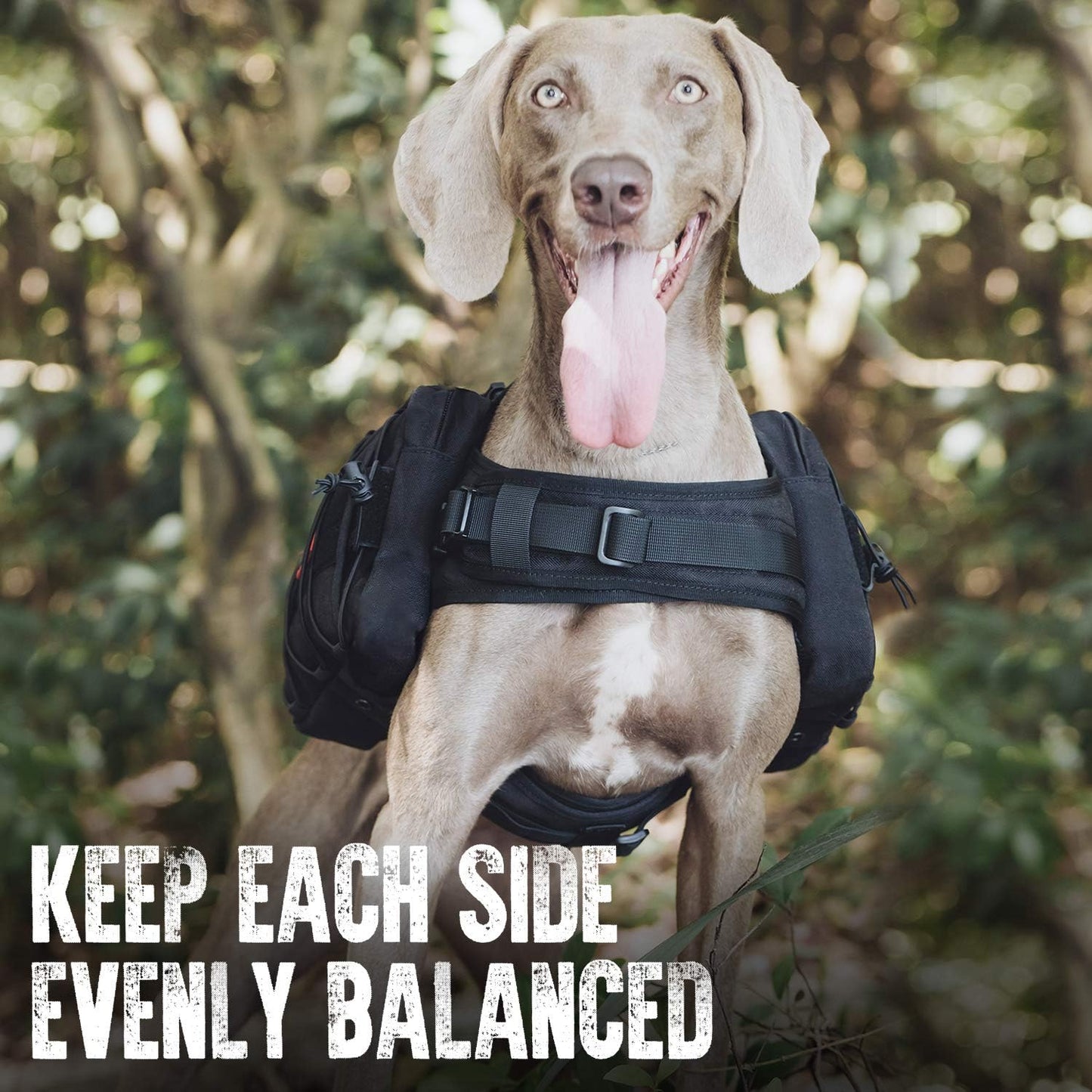 Tactical Dog Backpack for Medium & Large Breeds - Durable Nylon with Side Pockets for Hiking, Walking, and Training (Black, Large)