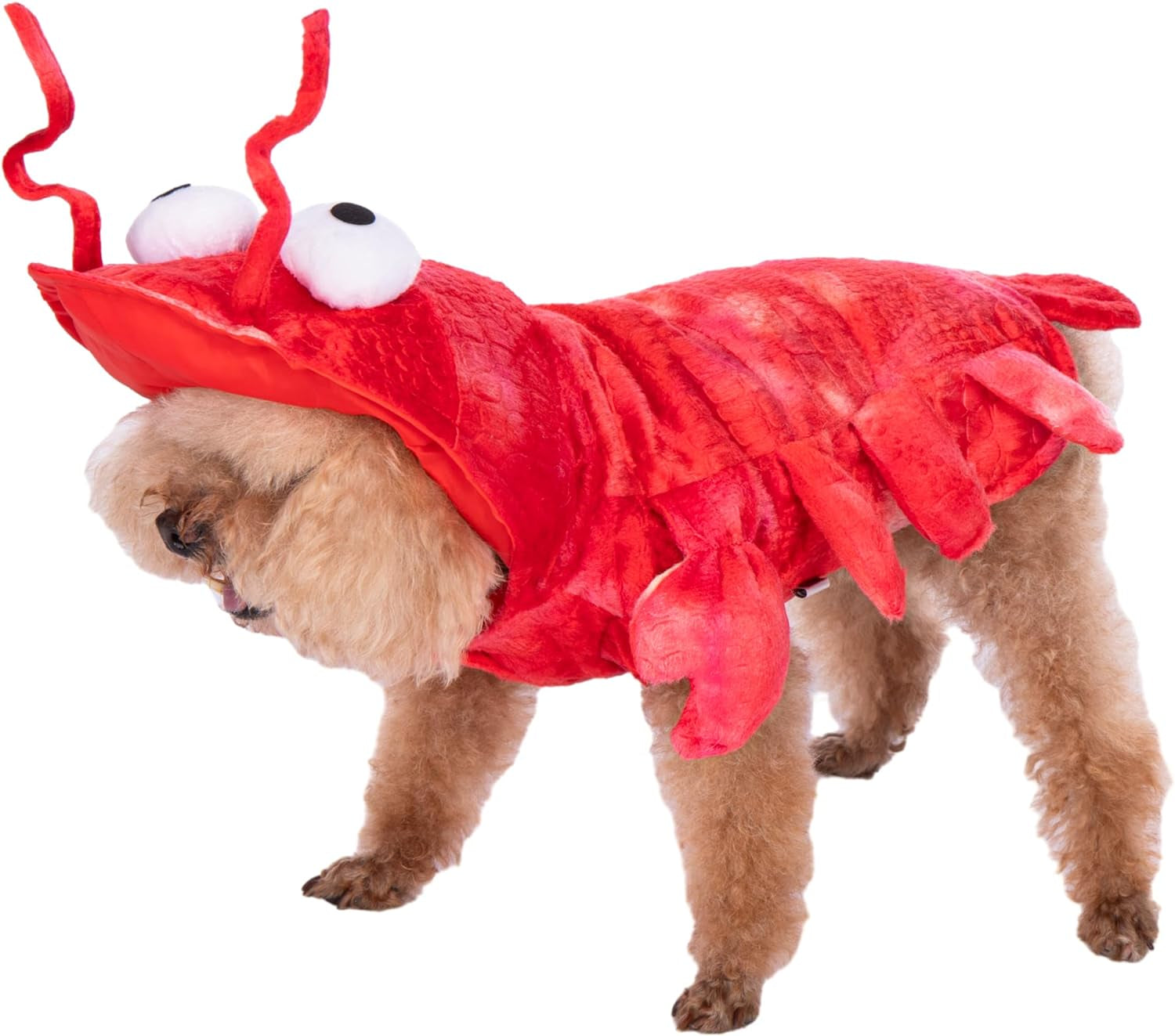 Get Your Pup Ready for Halloween & Christmas with This Hilarious Dog Lobster Costume! 🦞🎃🐾 Perfect for Cosplay & Winter Fun!