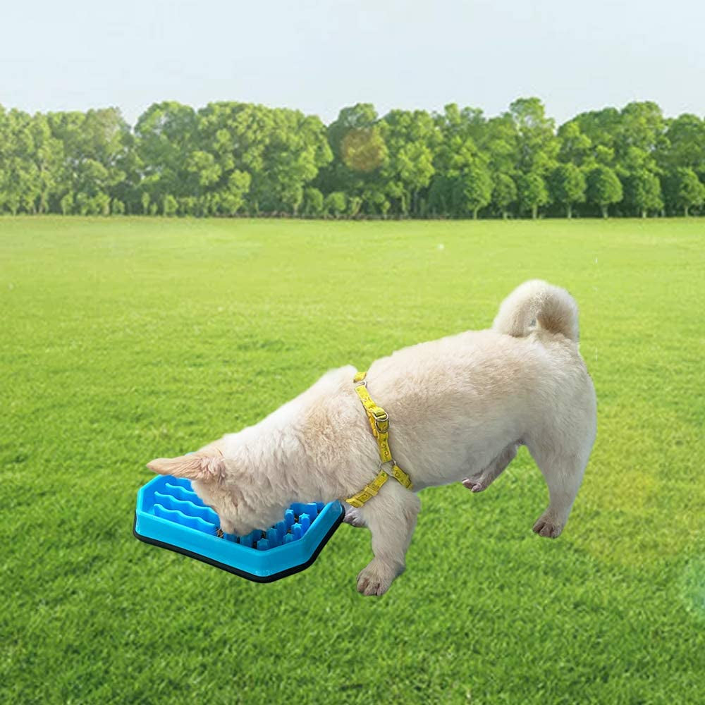 Slow Feeding Bowl for Dogs - Puzzle Feeder to Prevent Bloat - Ideal for Medium, Small Breeds & Puppies