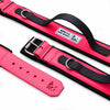 Premium Pet Guardian Gear: BESTIA DOG SPORT HANDLE COLLAR NEON PINK - Sanctum Paws and Fangs
