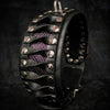 Premium Pet Guardian Gear: The ''Steampunk'' collar exclusive design - Sanctum Paws and Fangs