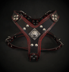 Premium Pet Guardian Gear: The ''Eros'' harness Black & Red Small to Medium Size - Sanctum Paws and Fangs