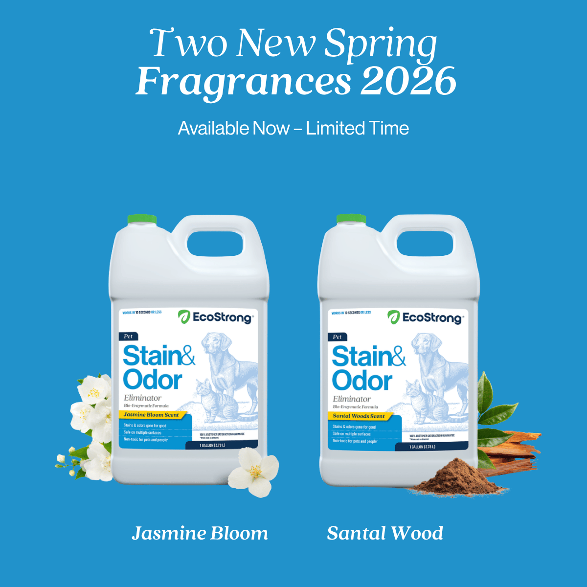 Pet Stain and Odor Eliminator
