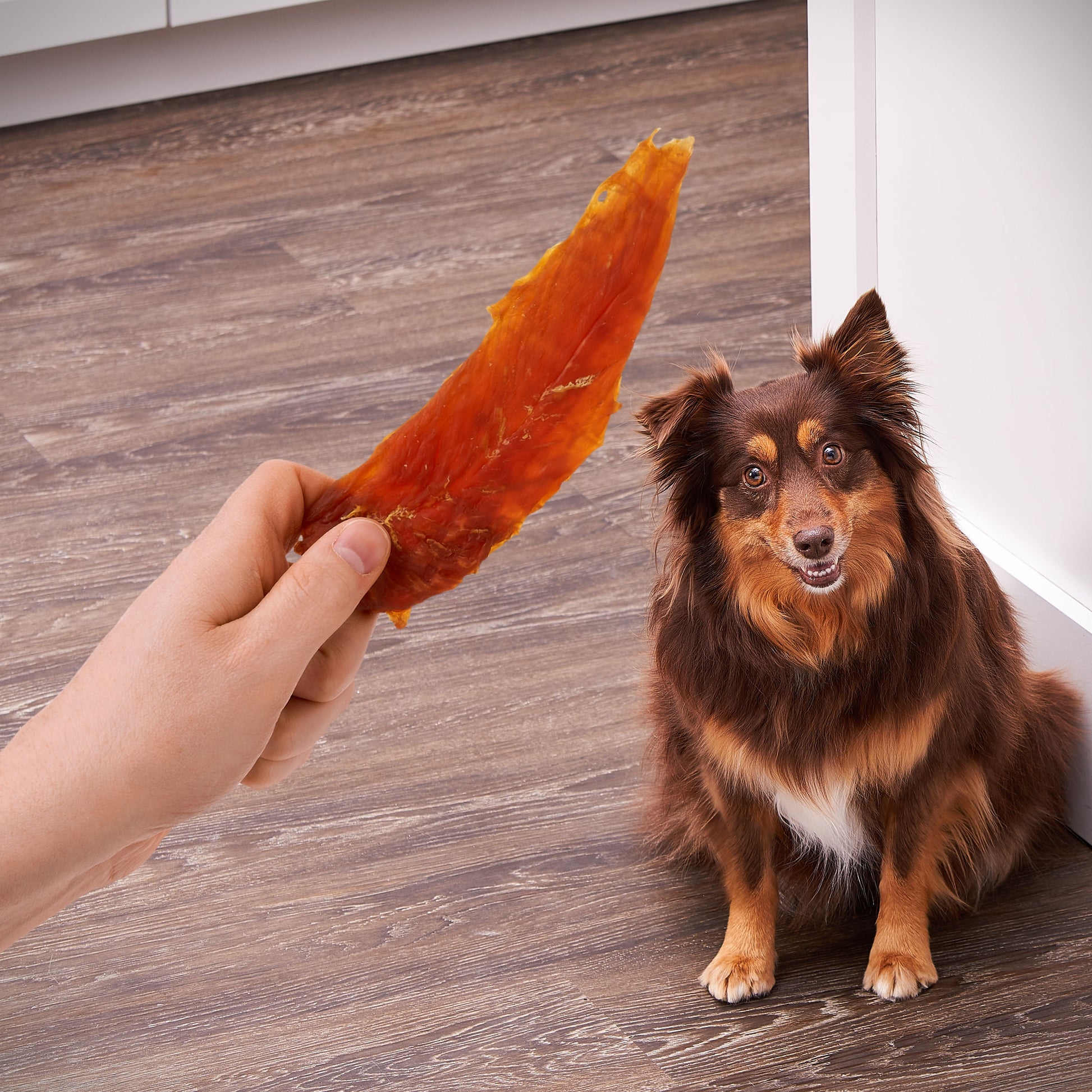 Chicken Jerky Premium Dog Treats, 64 Oz