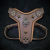 Premium Pet Guardian Gear: The ''Aztec'' harness Grey Small to Medium Size - Sanctum Paws and Fangs