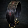 Premium Pet Guardian Gear: The ''Cobra'' collar - Sanctum Paws and Fangs