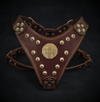 Premium Pet Guardian Gear: The ''Maximus'' harness Brown & Gold Small to Medium Size - Sanctum Paws and Fangs