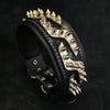 Premium Pet Guardian Gear: The ''Platinum'' collar - Sanctum Paws and Fangs