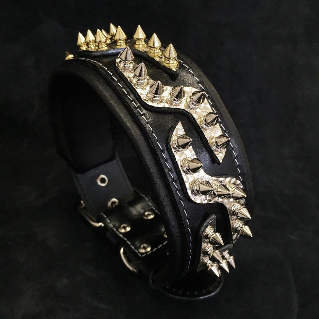 Premium Pet Guardian Gear: The ''Platinum'' collar - Sanctum Paws and Fangs