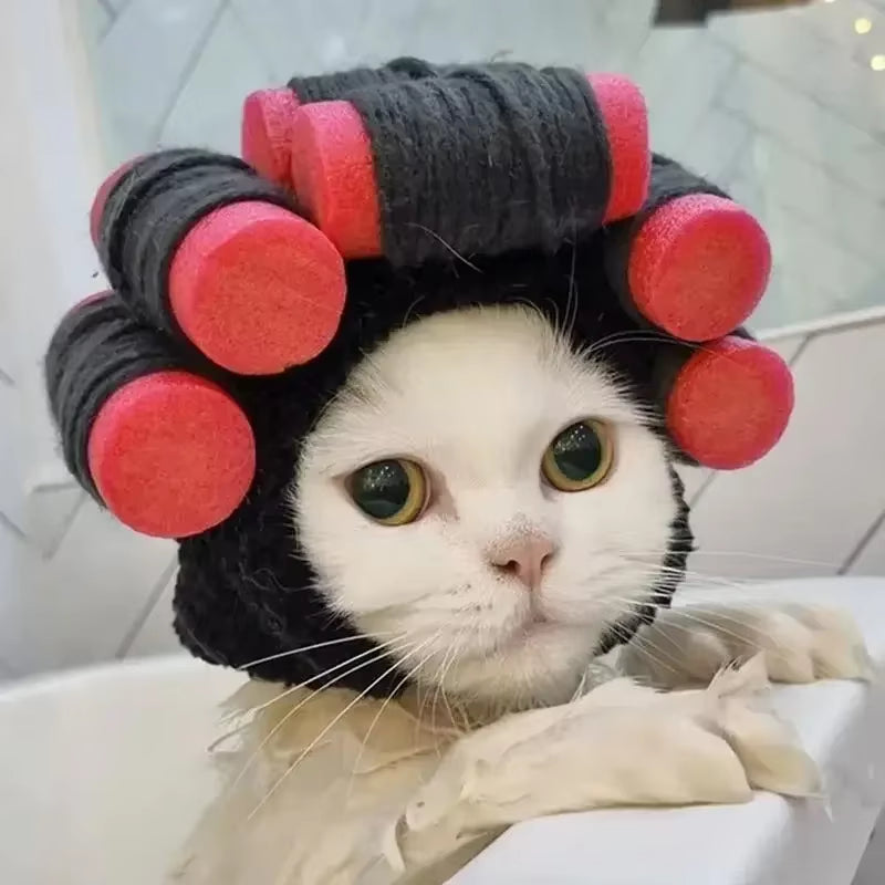 Get Your Pup Party-Ready with This Adorable Dog Hair Costume Wig & Cozy Hat! Perfect for Cats & Dogs! 🐾🎉