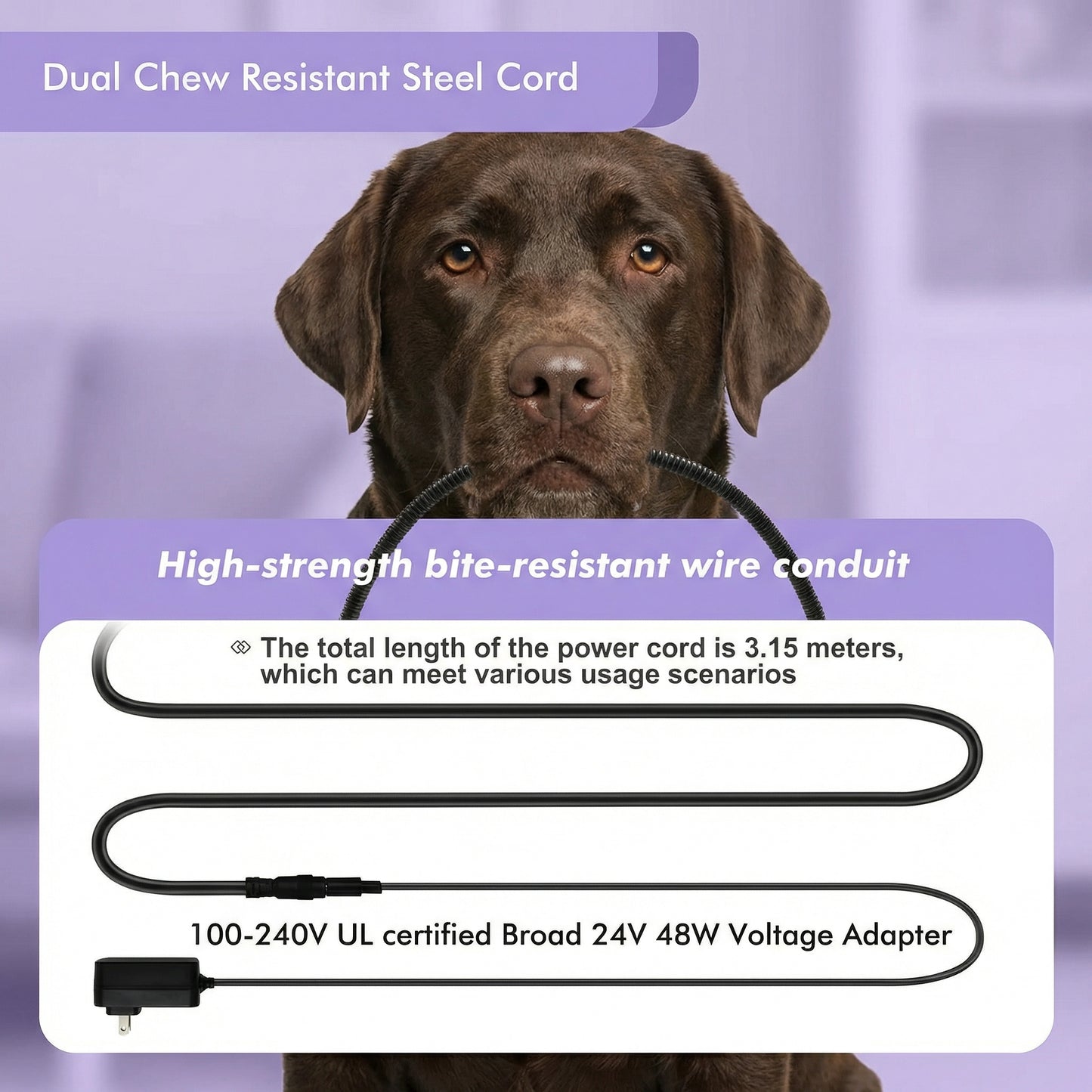 WarmCare Orthopedic Heated Dog Bed